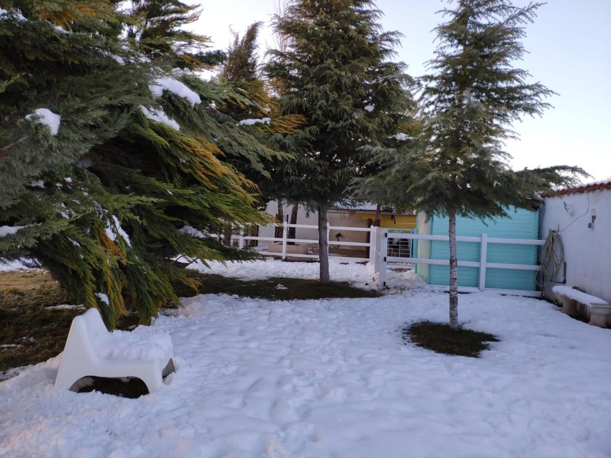 Chinchón Hearts & Ponies Apartamentos Con Piscinas Privadas Cerca De La Warner מראה חיצוני תמונה