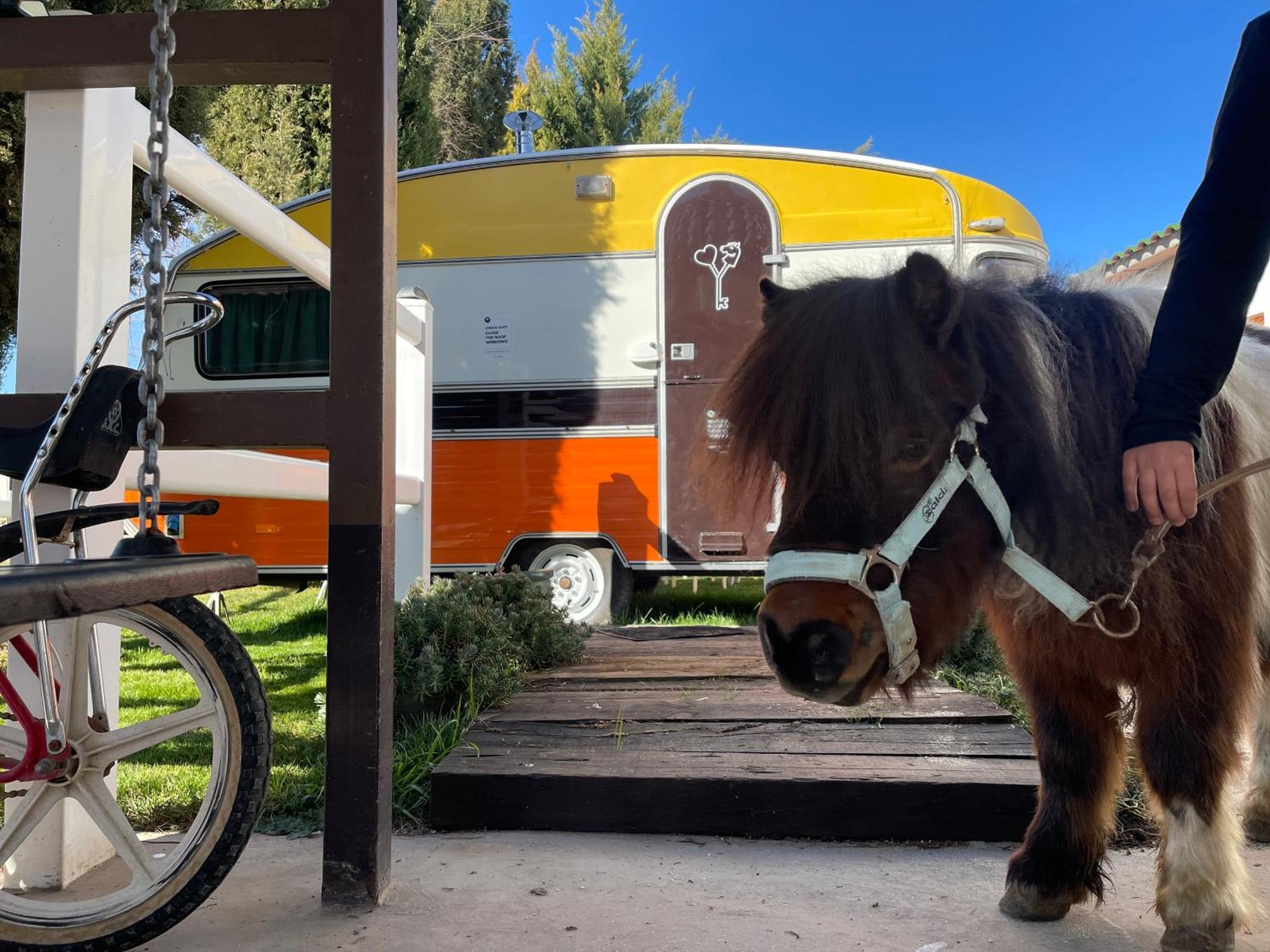 Chinchón Hearts & Ponies Apartamentos Con Piscinas Privadas Cerca De La Warner מראה חיצוני תמונה