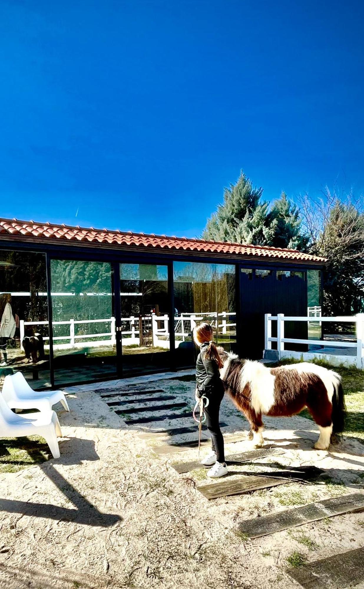 Chinchón Hearts & Ponies Apartamentos Con Piscinas Privadas Cerca De La Warner מראה חיצוני תמונה