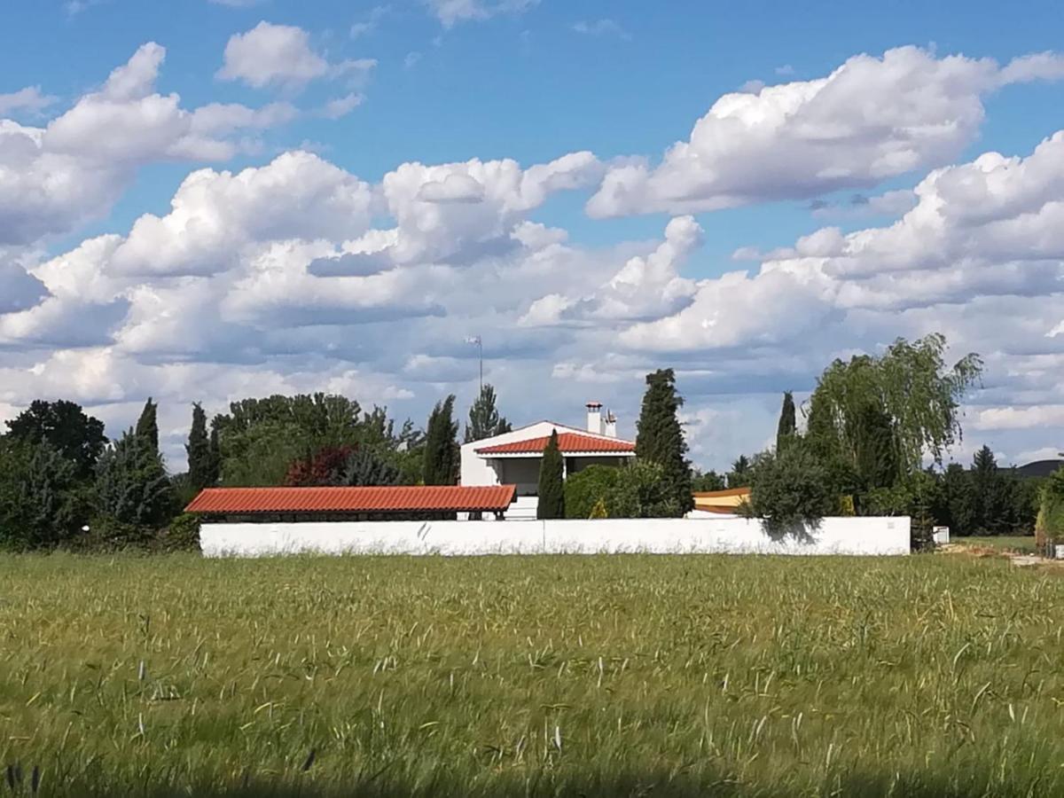 Chinchón Hearts & Ponies Apartamentos Con Piscinas Privadas Cerca De La Warner מראה חיצוני תמונה